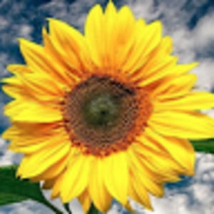 Meet your Posher, Christie